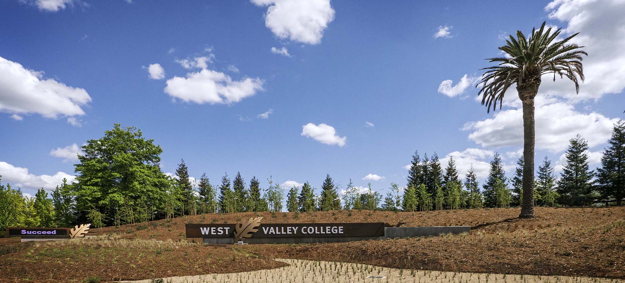 West Valley College, Entry Project, TLCD Architecture, Oak Nursery, Historic Palm, Signage, Drought Tolerant